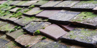 Chetwode roof repair costs